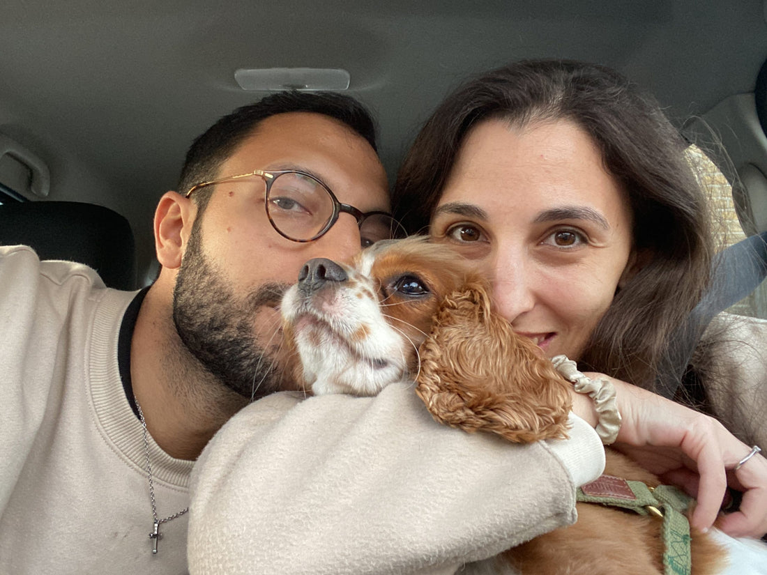 Quando la gravidanza non arriva