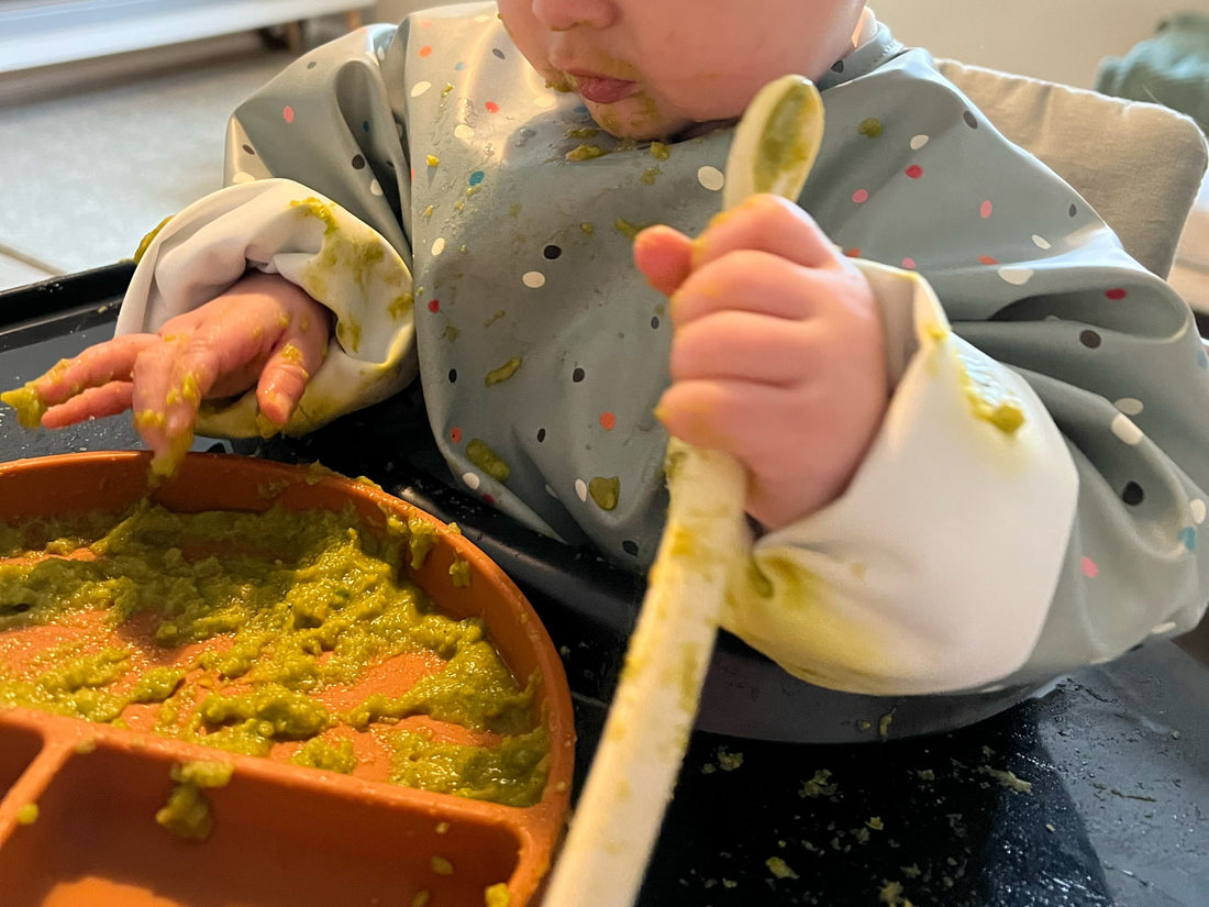 Il nostro percorso con l'autosvezzamento